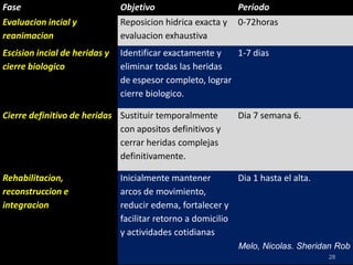 8/25/2013 28
Fase Objetivo Periodo
Evaluacion incial y
reanimacion
Reposicion hidrica exacta y
evaluacion exhaustiva
0-72horas
Escision incial de heridas y
cierre biologico
Identificar exactamente y
eliminar todas las heridas
de espesor completo, lograr
cierre biologico.
1-7 dias
Cierre definitivo de heridas Sustituir temporalmente
con apositos definitivos y
cerrar heridas complejas
definitivamente.
Dia 7 semana 6.
Rehabilitacion,
reconstruccion e
integracion
Inicialmente mantener
arcos de movimiento,
reducir edema, fortalecer y
facilitar retorno a domicilio
y actividades cotidianas
Dia 1 hasta el alta.
Melo, Nicolas. Sheridan Rob
 