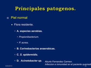  Piel normal
 Flora residente.
 A. especies aerobias.
 Propionibacterium.
 P. acnes.
 B. Corinebacterias anaerobicas.
 C. S. epidermidis.
 D. Acinetobacter sp.
8/25/2013 58
Aburto Fernandez Carmen.
Infeccion e inmunidad en el paciente quemado
 