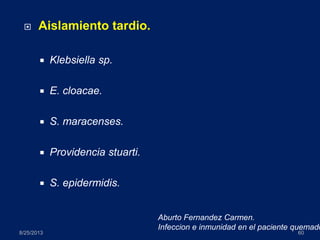  Aislamiento tardio.
 Klebsiella sp.
 E. cloacae.
 S. maracenses.
 Providencia stuarti.
 S. epidermidis.
8/25/2013 60
Aburto Fernandez Carmen.
Infeccion e inmunidad en el paciente quemado
 