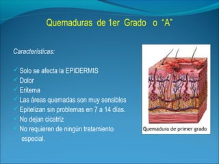 Quemaduras de 1er Grado o “A”
Características:
 Solo se afecta la EPIDERMIS
 Dolor
 Eritema
 Las áreas quemadas son muy sensibles
 Epitelizan sin problemas en 7 a 14 días.
 No dejan cicatriz
 No requieren de ningún tratamiento

especial.

 