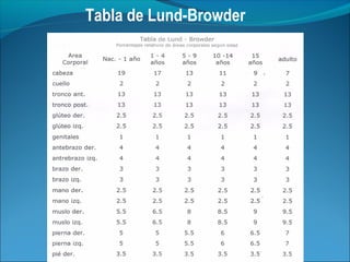 Tabla de Lund-Browder

 