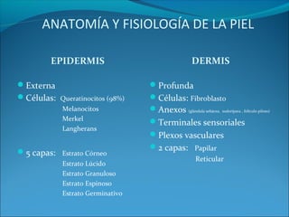 ANATOMÍA Y FISIOLOGÍA DE LA PIEL
EPIDERMIS
Externa
Células: Queratinocitos (98%)
Melanocitos
Merkel
Langherans

5 capas: Estrato Córneo
Estrato Lúcido
Estrato Granuloso
Estrato Espinoso
Estrato Germinativo

DERMIS
Profunda
Células: Fibroblasto
Anexos (glándula sebácea, sudorípara , folículo piloso)
Terminales sensoriales
Plexos vasculares
2 capas: Papilar
Reticular

 