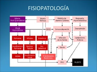 FISIOPATOLOGÍA

 