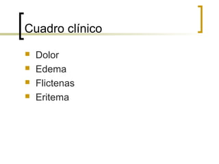 Cuadro clínico





Dolor
Edema
Flictenas
Eritema

 