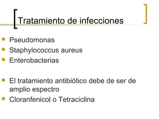 Tratamiento de infecciones








Pseudomonas
Staphylococcus aureus
Enterobacterias
El tratamiento antibiótico debe de ser de
amplio espectro
Cloranfenicol o Tetraciclina

 
