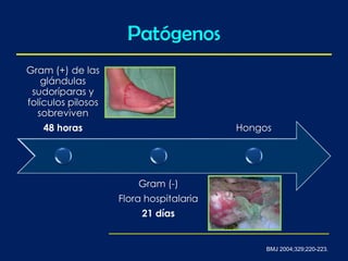 Patógenos
BMJ 2004;329;220-223.
Gram (+) de las
glándulas
sudoríparas y
folículos pilosos
sobreviven
48 horas
Gram (-)
Flora hospitalaria
21 días
Hongos
 