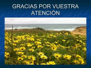 GRACIAS POR VUESTRAGRACIAS POR VUESTRA
ATENCIÓNATENCIÓN
 