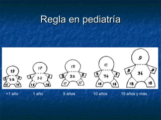 Regla en pediatríaRegla en pediatría
<1 año 1 año 5 años 10 años 15 años y más
 