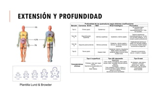 EXTENSIÓN Y PROFUNDIDAD
Plantilla Lund & Browder
 