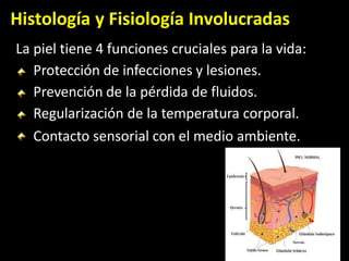 Histología y Fisiología Involucradas
La piel tiene 4 funciones cruciales para la vida:
Protección de infecciones y lesiones.
Prevención de la pérdida de fluidos.
Regularización de la temperatura corporal.
Contacto sensorial con el medio ambiente.
 