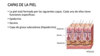 CAPAS DE LA PIEL
• La piel está formada por las siguientes capas. Cada una de ellas tiene
funciones específicas:
• Epidermis
• Dermis
• Capa de grasa subcutánea (hipodermis)
 