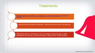 Tratamiento
Administración de antibióticos, analgésicos y vacuna antitetánica.(Clostridium
tetani)
Administración de líquidos isotómicos . Mezcla de solución salina con dextrosa.
Tratamiento abierto. Exposición al aire sin vendaje; lavado con agua y jabón,
debridación de vesículas y tejidos quemados y aplicación de nitrato de plata.
 