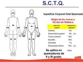 S.C.T.Q.
Superficie Corporal Total Quemada
Regla de los nueve o
Escala de Wallace
PARTE DEL

PORCENTAJE

CUERPO

ASIGNADO

Cabeza

9%

Extremidad superior

9% c/u

Tronco anterior

18%

Espalda

18%

Genitales
Extremidad inferior

Se aplica en
quemaduras de
II y III grado.

1%
18% c/u
100%

 