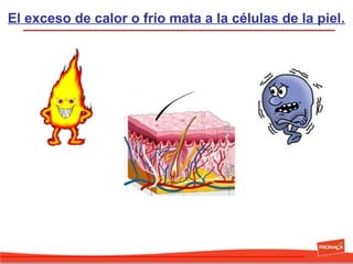 El exceso de calor o frío mata a la células de la piel.

 