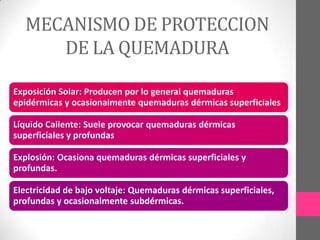 MECANISMO DE PROTECCION
     DE LA QUEMADURA

Exposición Solar: Producen por lo general quemaduras
epidérmicas y ocasionalmente quemaduras dérmicas superficiales

Líquido Caliente: Suele provocar quemaduras dérmicas
superficiales y profundas

Explosión: Ocasiona quemaduras dérmicas superficiales y
profundas.

Electricidad de bajo voltaje: Quemaduras dérmicas superficiales,
profundas y ocasionalmente subdérmicas.
 