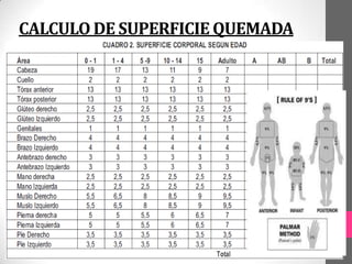 CALCULO DE SUPERFICIE QUEMADA
 