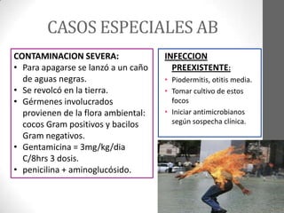 CASOS ESPECIALES AB
CONTAMINACION SEVERA:                INFECCION
• Para apagarse se lanzó a un caño     PREEXISTENTE:
  de aguas negras.                   • Piodermitis, otitis media.
• Se revolcó en la tierra.           • Tomar cultivo de estos
• Gérmenes involucrados                focos
  provienen de la flora ambiental:   • Iniciar antimicrobianos
  cocos Gram positivos y bacilos       según sospecha clínica.
  Gram negativos.
• Gentamicina = 3mg/kg/dia
  C/8hrs 3 dosis.
• penicilina + aminoglucósido.
 