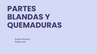 PARTES
BLANDAS Y
QUEMADURAS
Andrea Puente
Pablo León
 