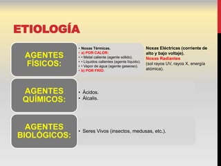 ETIOLOGÍA
              •   Noxas Térmicas.                          Noxas Eléctricas (corriente de
              •   a) POR CALOR:                            alto y bajo voltaje).
 AGENTES      •   • Metal caliente (agente sólido).        Noxas Radiantes
              •   • Líquidos calientes (agente líquido).
 FÍSICOS:     •   • Vapor de agua (agente gaseoso).
                                                           (sol rayos UV, rayos X, energía
              •   b) POR FRÍO.                             atómica).




 AGENTES      • Ácidos.
 QUÍMICOS:    • Álcalis.




  AGENTES     • Seres Vivos (insectos, medusas, etc.).
BIOLÓGICOS:
 