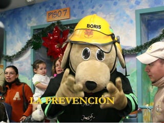 LA PREVENCIÓN
 