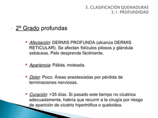 -   2º Grado profundas

        Afectación: DERMIS PROFUNDA (alcanza DERMIS
         RETICULAR). Se afectan folículos pilosos y glándula
         sebáceas. Pelo desprende fácilmente.

        Apariencia: Pálida, moteada.

        Dolor: Poco. Áreas anestesiadas por pérdida de
         terminaciones nerviosas.

        Curación: >35 días. Si pasado este tiempo no cicatriza
         adecuadamente, habría que recurrir a la cirugía por riesgo
         de aparición de cicatriz hipertrófica o queloidea.
 