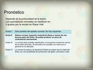 Pronóstico
Grado I Solo perdida del epitelio corneal. No hay isquemia.
Grado II Edema corneal, isquemia conjuntival afecta a menos de una
tercera parte del limbo. Se puede producir un poco de
cicatrización permanente.
Grado III La cornea tiene turbidez significativa y la isquemia corneal es menos
de la mitad del limbo. El pronostico es variable y la visión por lo
general se ve afectada.
Grado IV La cornea es opaca y la isquemia límbica es mayor que la mitad del
limbo con una posibilidad de perforación del globo: pronostico malo.
Depende de la profundidad de la lesión.
Las quemaduras corneales se clasifican en
4 grados por la escala de Roper Hall.
 