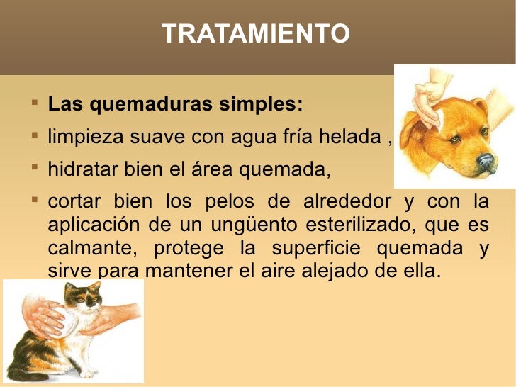 El hambre a la psoriasis las revocaciones