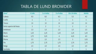 TABLA DE LUND BROWDER
 