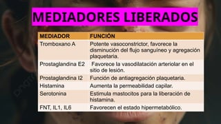 MEDIADORES LIBERADOS
MEDIADOR FUNCIÓN
Tromboxano A Potente vasoconstrictor, favorece la
disminución del flujo sanguíneo y agregación
plaquetaria.
Prostaglandina E2 Favorece la vasodilatación arteriolar en el
sitio de lesión.
Prostaglandina I2 Función de antiagregación plaquetaria.
Histamina Aumenta la permeabilidad capilar.
Serotonina Estimula mastocitos para la liberación de
histamina.
FNT, IL1, IL6 Favorecen el estado hipermetabólico.
 