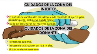 CUIDADOS DE LA ZONA DEL
INJERTO:
El apósito se cambia dos días después de realizado el injerto, para
permitir que la piel nueva pueda fijarse.
Debe de protegerse del roce y la presión.
Permanece cubierta.
Proceso de cicatrización de 10 a 14 días.
El apósito debe caerse solo
CUIDADOS DE LA ZONA DEL
DONANTE:
 