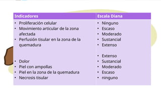 Indicadores Escala Diana
• Proliferación celular
• Movimiento articular de la zona
afectada
• Perfusión tisular en la zona de la
quemadura
• Dolor
• Piel con ampollas
• Piel en la zona de la quemadura
• Necrosis tisular
• Ninguno
• Escaso
• Moderado
• Sustancial
• Extenso
• Extenso
• Sustancial
• Moderado
• Escaso
• ninguno
 