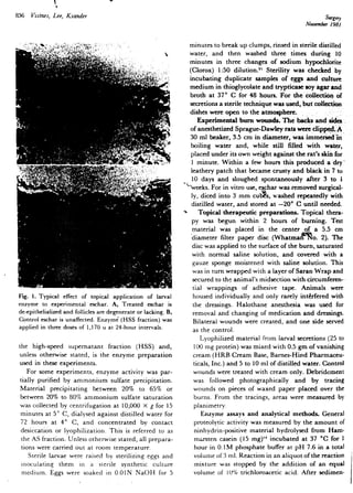 Quemaduraslarvas 100619030055-phpapp02