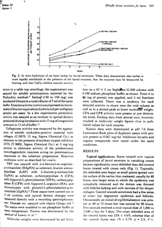 Quemaduraslarvas 100619030055-phpapp02