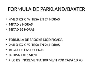 QUEMADURAS MANEJO DE HERIDA Y FLUIDOS.pptx