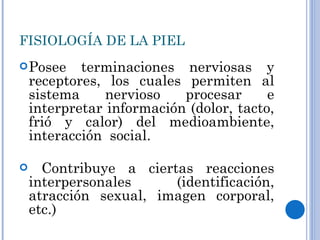 FISIOLOGÍA DE LA PIEL Posee terminaciones nerviosas y receptores, los cuales permiten al sistema nervioso procesar e interpretar información (dolor, tacto, frió y calor) del medioambiente, interacción  social. Contribuye a ciertas reacciones interpersonales (identificación, atracción sexual, imagen corporal, etc.) 