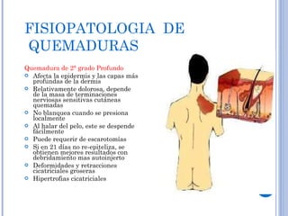FISIOPATOLOGIA  DE  QUEMADURAS Quemadura de 2° grado Profundo Afecta la epidermis y las capas más profundas de la dermis  Relativamente dolorosa, depende de la masa de terminaciones nerviosas sensitivas cutáneas quemadas  No blanquea cuando se presiona localmente  Al halar del pelo, este se despende fácilmente  Puede requerir de escarotomías  Si en 21 días no re-epiteliza, se obtienen mejores resultados con debridamiento mas autoinjerto  Deformidades y retracciones cicatriciales groseras  Hipertrofias cicatriciales  