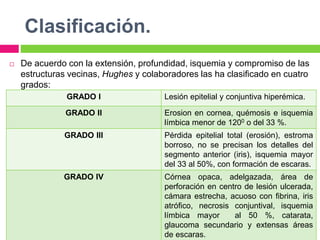 Clasificación.
 De acuerdo con la extensión, profundidad, isquemia y compromiso de las
estructuras vecinas, Hughes y colaboradores las ha clasificado en cuatro
grados:
GRADO I Lesión epitelial y conjuntiva hiperémica.
GRADO II Erosion en cornea, quémosis e isquemia
límbica menor de 1200 o del 33 %.
GRADO III Pérdida epitelial total (erosión), estroma
borroso, no se precisan los detalles del
segmento anterior (iris), isquemia mayor
del 33 al 50%, con formación de escaras.
GRADO IV Córnea opaca, adelgazada, área de
perforación en centro de lesión ulcerada,
cámara estrecha, acuoso con fibrina, iris
atrófico, necrosis conjuntival, isquemia
límbica mayor al 50 %, catarata,
glaucoma secundario y extensas áreas
de escaras.
 