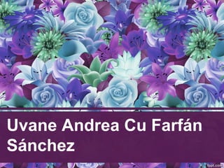 Uvane Andrea Cu Farfán
Sánchez
 