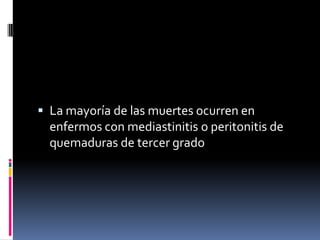  La mayoría de las muertes ocurren en
enfermos con mediastinitis o peritonitis de
quemaduras de tercer grado
 