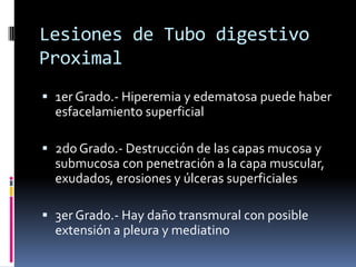Lesiones de Tubo digestivo
Proximal
 1er Grado.- Hiperemia y edematosa puede haber
esfacelamiento superficial
 2do Grado.- Destrucción de las capas mucosa y
submucosa con penetración a la capa muscular,
exudados, erosiones y úlceras superficiales
 3er Grado.- Hay daño transmural con posible
extensión a pleura y mediatino
 