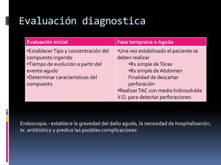 Evaluación diagnostica
Endoscopia.- establece la gravedad del daño agudo, la necesidad de hospitalización,
tx. antibiótico y predice las posibles complicaciones
Evaluación Inicial Fase temprana o Aguda
•EstablecerTipo y concentración del
compuesto ingerido
•Tiempo de evolución a partir del
evento agudo
•Determinar características del
compuesto
•Una vez estabilizado el paciente se
deben realizar
•Rx simple deTórax
•Rx simple de Abdomen
Finalidad de descartar
perforación
•RealizarTAC con medio hidrosoluble
V.O. para detectar perforaciones
 