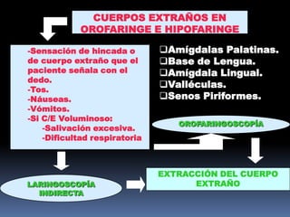 CUERPOS EXTRAÑOS EN
OROFARINGE E HIPOFARINGE
Amígdalas Palatinas.
Base de Lengua.
Amígdala Lingual.
Valléculas.
Senos Piriformes.
-Sensación de hincada o
de cuerpo extraño que el
paciente señala con el
dedo.
-Tos.
-Náuseas.
-Vómitos.
-Si C/E Voluminoso:
-Salivación excesiva.
-Dificultad respiratoria
OROFARINGOSCOPÍA
LARINGOSCOPÍA
INDIRECTA
EXTRACCIÓN DEL CUERPO
EXTRAÑO
 