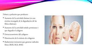 Tabaco y polución que producen:
• Aumento de la actividad elastasa (es una
enzima encargada de la degradación de las
fibras elásticas).
• Aumento de la actividad métalo proteinasa-1
que degrada el colágeno
• Entrecruzamiento del colágeno
• Disminución de la síntesis de colágenos
• Radiaciones ionizantes que generan radicales
libres (ROS, RCS, RNS)
 
