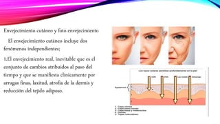 Envejecimiento cutáneo y foto envejecimiento
El envejecimiento cutáneo incluye dos
fenómenos independientes;
1.El envejecimiento real, inevitable que es el
conjunto de cambios atribuidos al paso del
tiempo y que se manifiesta clínicamente por
arrugas finas, laxitud, atrofia de la dermis y
reducción del tejido adiposo.
 
