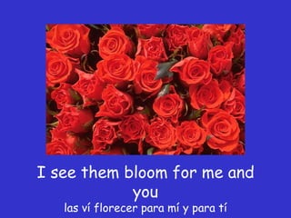 I see them bloom for me and you las ví florecer para mí y para tí 
