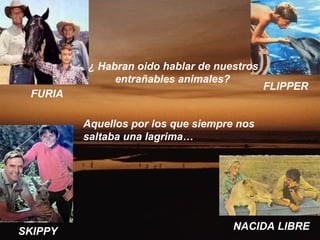 ¿ Habran oido hablar de nuestros
              entrañables animales?
                                            FLIPPER
 FURIA

         Aquellos por los que siempre nos
         saltaba una lagrima…




SKIPPY                               NACIDA LIBRE
 