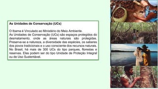 As Unidades de Conservação (UCs)
O Ibama é Vinculado ao Ministério do Meio Ambiente.
As Unidades de Conservação (UCs) são espaços protegidos do
desmatamento, onde as áreas naturais são protegidas.
Preserva-se a natureza, a diversidade das espécies, os saberes
dos povos tradicionais e o uso consciente dos recursos naturais.
No Brasil, há mais de 300 UCs do tipo parques, florestas e
reservas. Elas podem ser do tipo Unidade de Proteção Integral
ou de Uso Sustentável.
 
