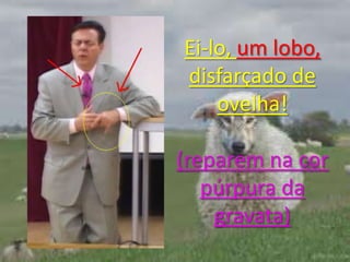Ei-lo, um lobo, disfarçado de ovelha! (reparem na cor púrpura da gravata)