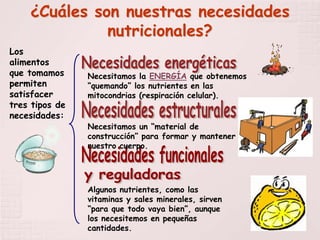 ¿Cuáles son nuestras necesidades
              nutricionales?
Los
alimentos
que tomamos     Necesitamos la ENERGÍA que obtenemos
permiten        “quemando” los nutrientes en las
satisfacer      mitocondrias (respiración celular).
tres tipos de
necesidades:
                Necesitamos un “material de
                construcción” para formar y mantener
                nuestro cuerpo.




                Algunos nutrientes, como las
                vitaminas y sales minerales, sirven
                “para que todo vaya bien”, aunque
                los necesitemos en pequeñas
                cantidades.
 