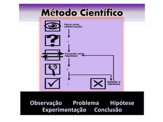Método Científico